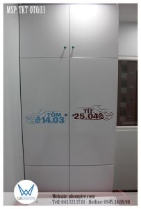 Tủ áo kịch trần trang trí ô tô và tên bé